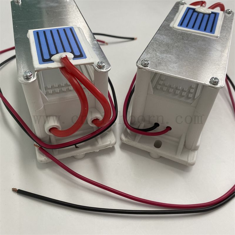 220 V 1 g/h foglio ceramico Modulo di ozono Purificatore d'aria O3 Ozonator Kit