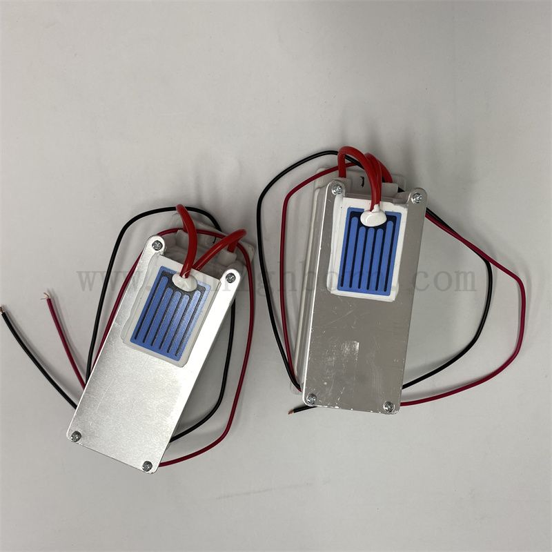 220 V 1 g/h foglio ceramico Modulo di ozono Purificatore d'aria O3 Ozonator Kit