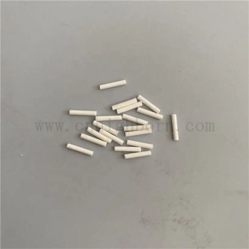 Test di laboratorio personalizzato Elettrodo di riferimento medico in ceramica porosa