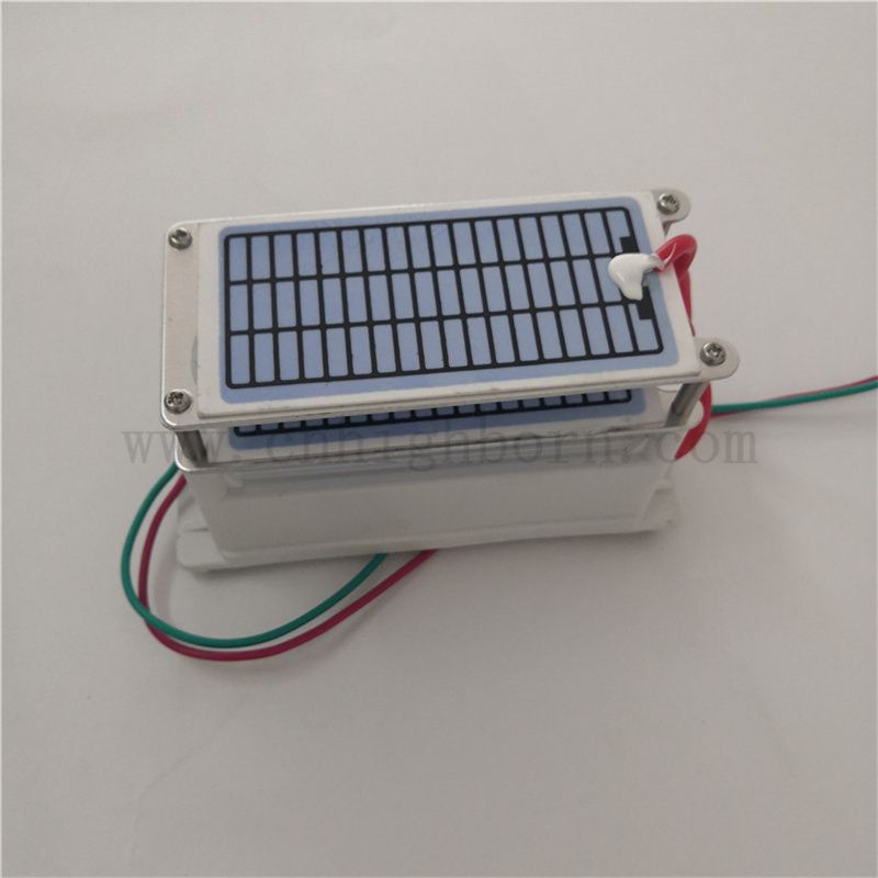 CE ROHS certificato 220 V 220 g/h foglio ceramico Modulo di ozono Modulo Air Purificier Ozonator Kit