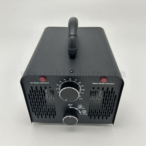 Purificatore d'aria per il trattamento dell'acqua della macchina con generatore di ozono a doppia modalità Deodorante per ozono O3 per la casa