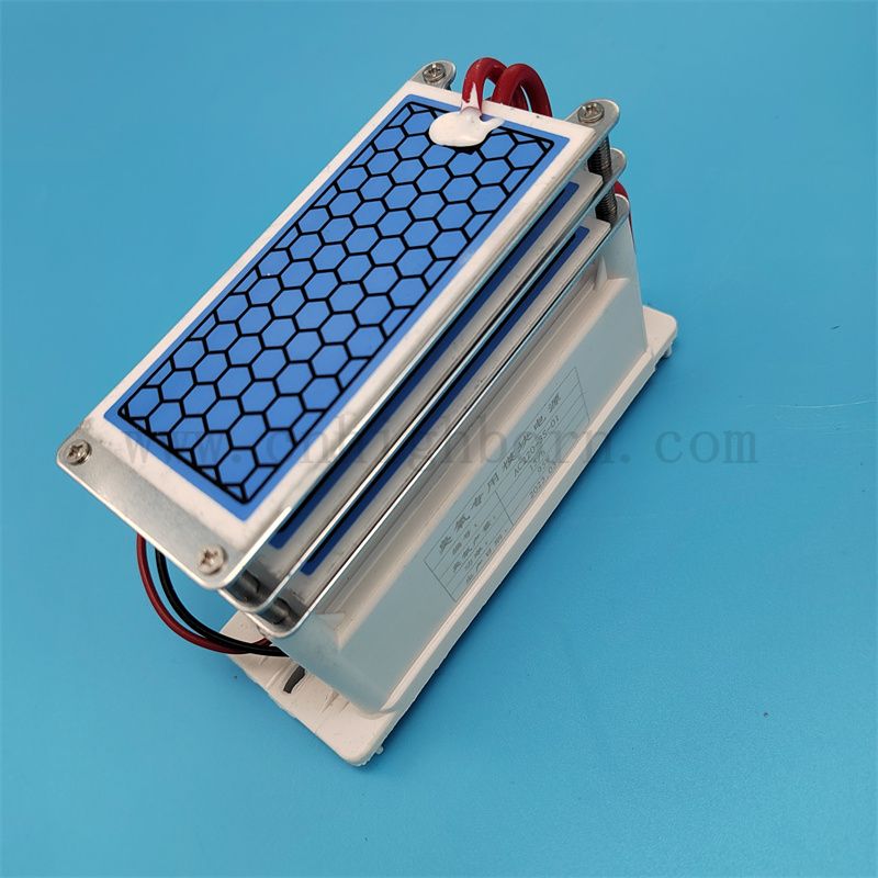 Foglio in ceramica Modulo generatore di ozono da 15 g/h per altero dell'aria