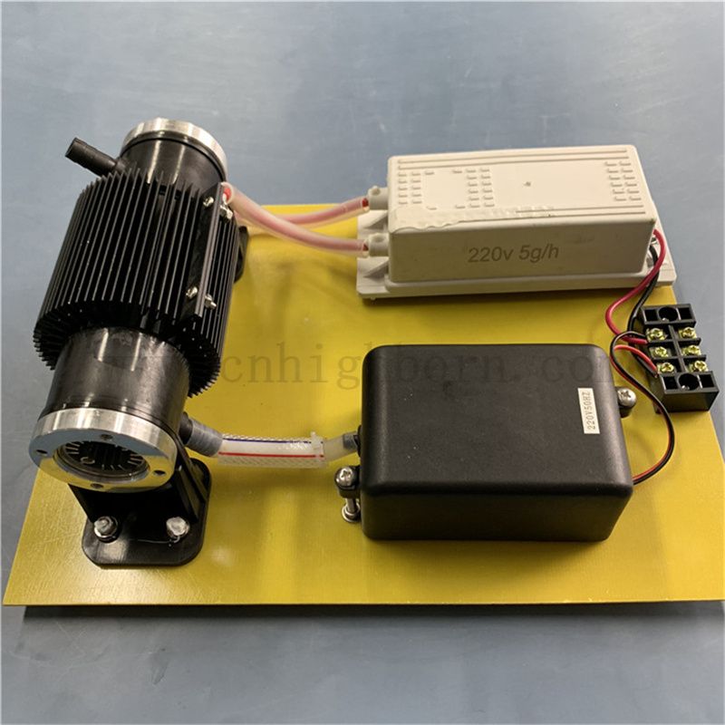 110 V 10 g/h Generatore di disinfezione dell'ozono O3 Stirilizzazione per il trattamento dell'acqua