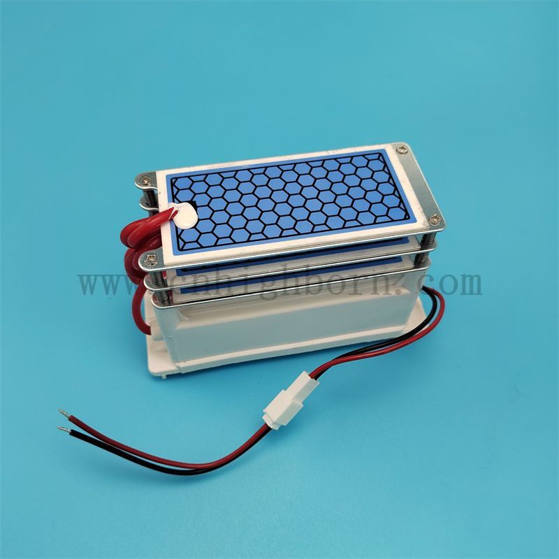 Modulo di ozono da 15 g 