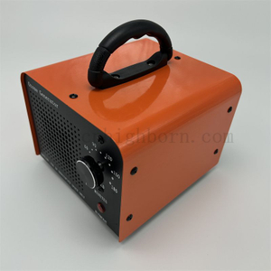 Sterilizzatore portatile per deodorazione dell'ozono del purificatore d'aria della macchina del generatore O3 commerciale 220V 10g/H