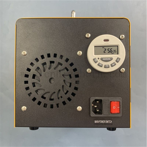 Dispositivo generatore di ozonizzatore purificatore d'aria portatile 220V 20g / h 
