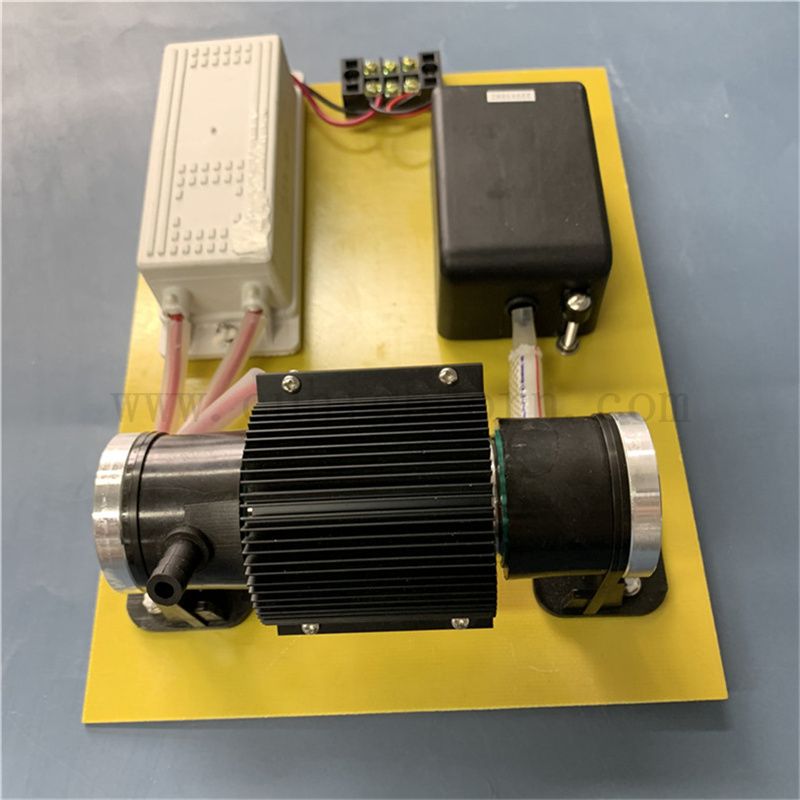 110 V 10 g/h Generatore di disinfezione dell'ozono O3 Stirilizzazione per il trattamento dell'acqua