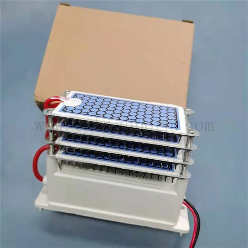 20 g/h 4 strato foglio ceramico generatore di ozono Trattamento dell'aria Ozonatore