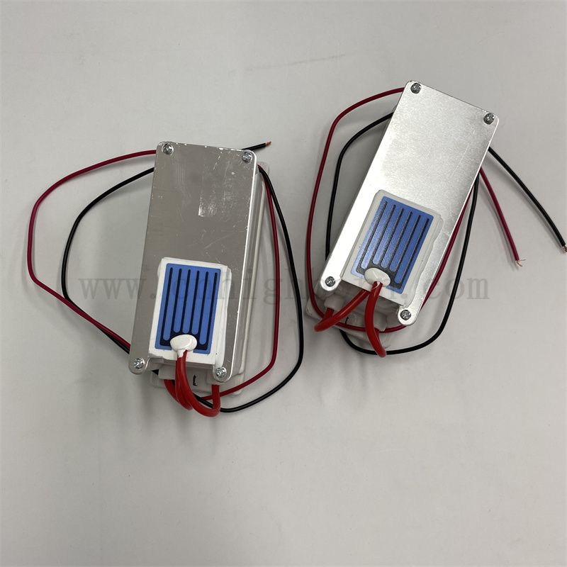220 V 1 g/h foglio ceramico Modulo di ozono Purificatore d'aria O3 Ozonator Kit