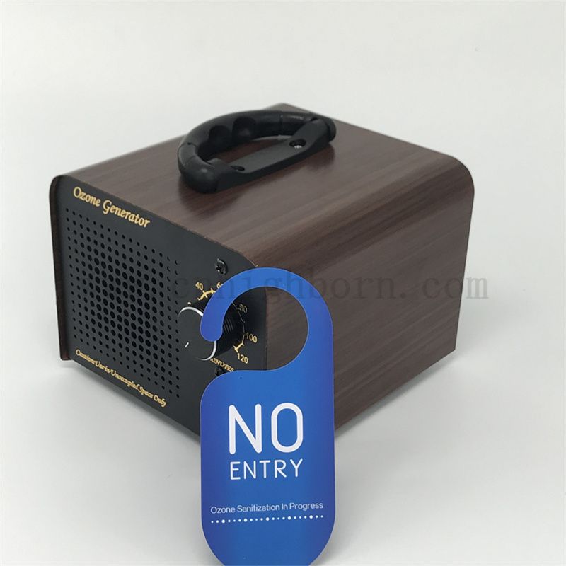 Macchina per ozono domestica sterilizzatrice per ozono con tubo al quarzo da 60 g/ora