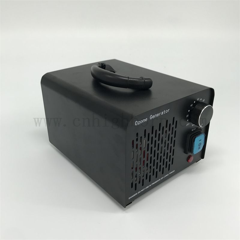 Multifunzionale Generatore di ozono Macchina Purificatore d'aria portatile 220V 10G/h Trattamento dell'acqua ozonizzatore Ozonatore