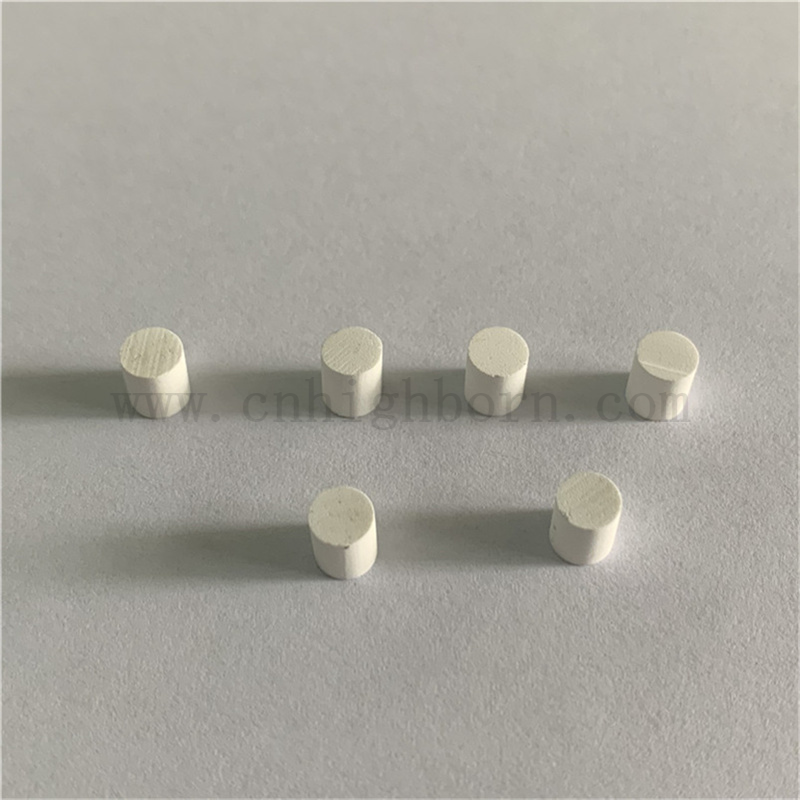 Monitoraggio ambientale di rilevamento degli alimenti Elettrodo Elettrodo Core di ceramica porosa