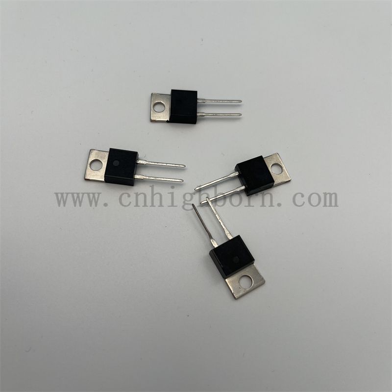 100w thick film resistor Resistenza di pellicola spessa RTP100