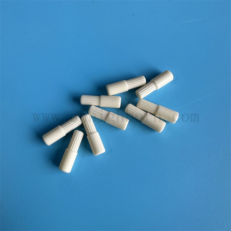 Parti di vernice di allumina Al2O3 di precisione ad alta precisione personalizzate