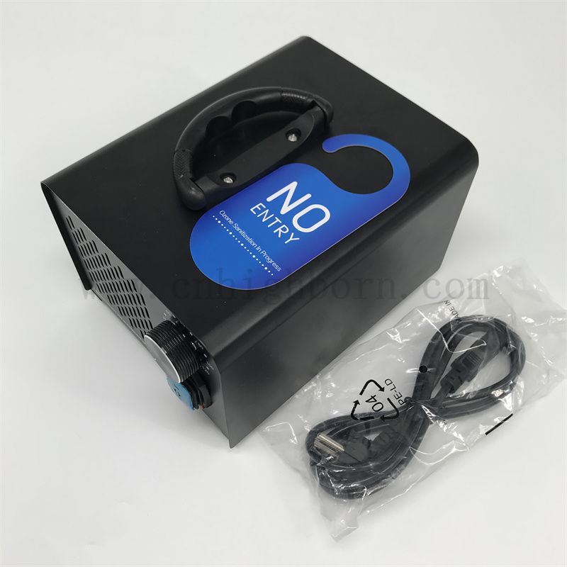 Multifunzionale Generatore di ozono Macchina Purificatore d'aria portatile 220V 10G/h Trattamento dell'acqua ozonizzatore Ozonatore