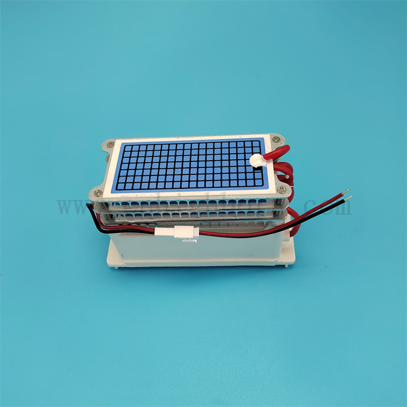 Basso consumo di energia 220 V 30 g/h Modulo del generatore di ozono in ceramica portatile 