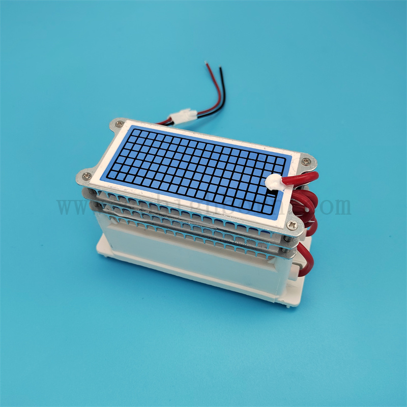 Basso consumo di energia 220 V 30 g/h Modulo del generatore di ozono in ceramica portatile 