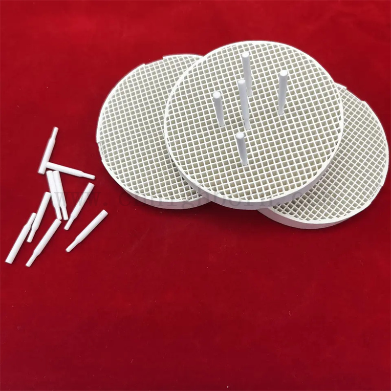 Dental Lab Honeycomb Ceramic Sinteded Vassoio con spille