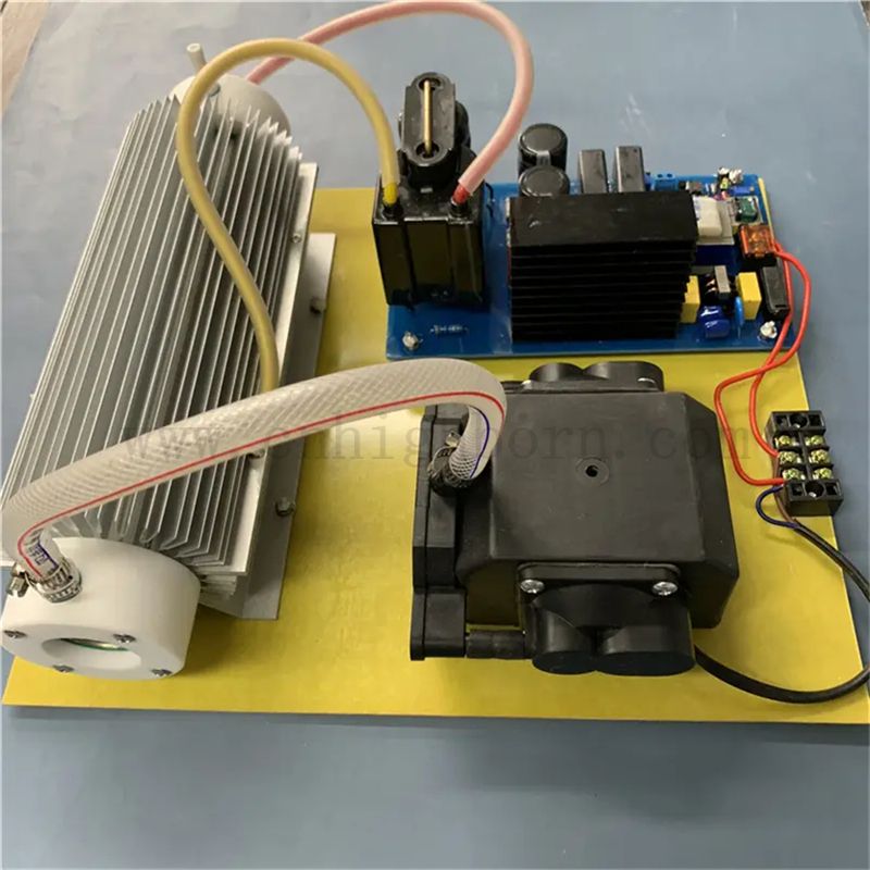 Modulo di sterilizzazione del generatore di ozono da 20 g multifunzionale da 20 g per il trattamento dell'acqua 