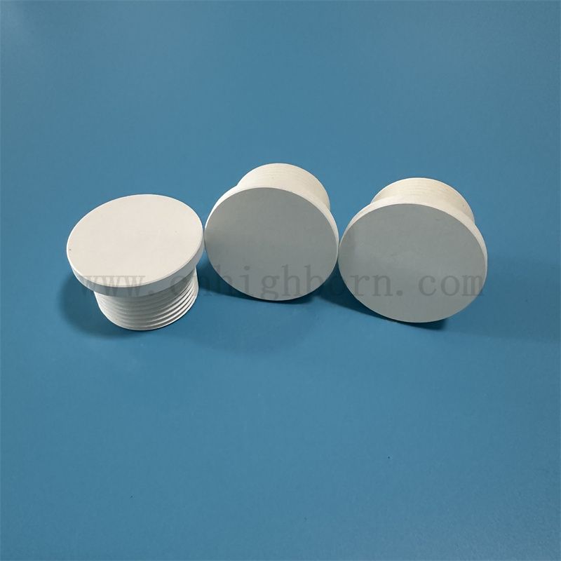 Nitruro di boro isolante Parte di vite irregolare conducibilità termica BN Bush ceramico