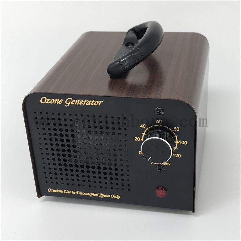 Ozonizzatore 60g (5)