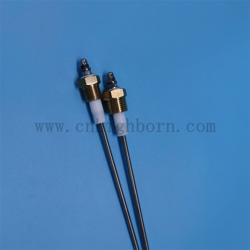 elettrodo di livello dell'acqua