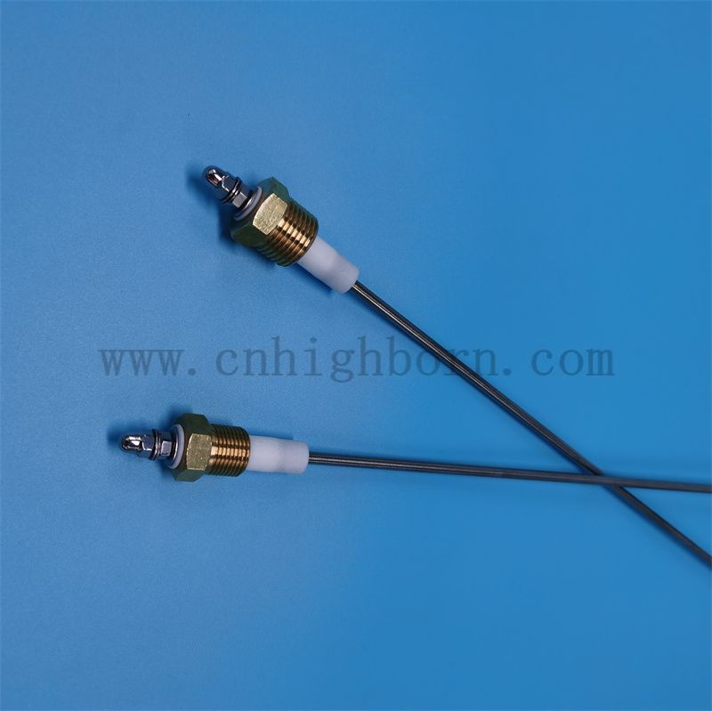 elettrodo di livello dell'acqua