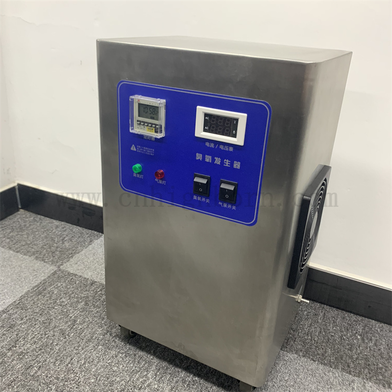 Macchina di disinfezione del generatore di ozono da 10 g/ora del generatore di ozono personalizzato