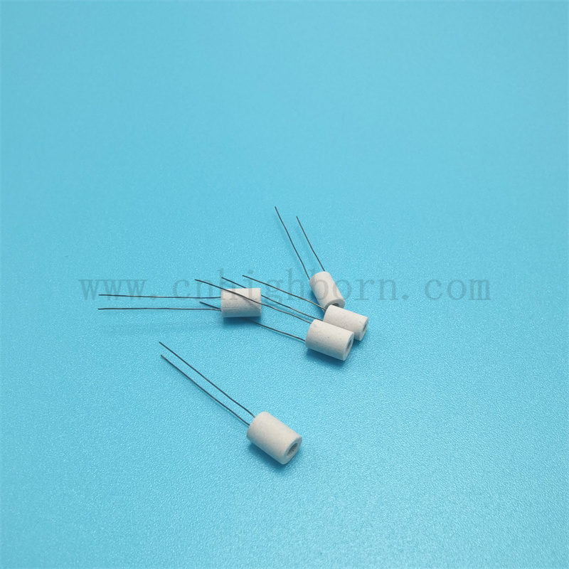 Riscaldamento elettronico di sigaretta poroso bianco ecologico personalizzato con piombo