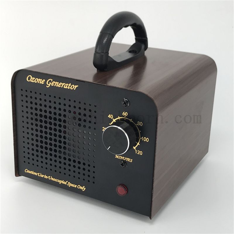 Macchina per ozono domestica sterilizzatrice per ozono con tubo al quarzo da 60 g/ora