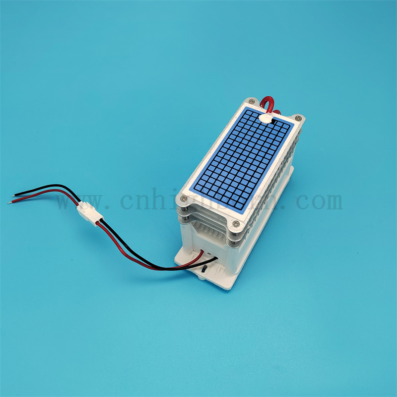 Basso consumo di energia 220 V 30 g/h Modulo del generatore di ozono in ceramica portatile 