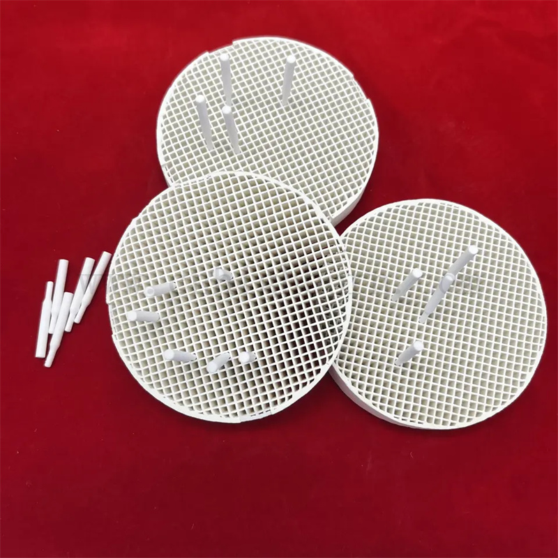 Dental Lab Honeycomb Ceramic Sinteded Vassoio con spille