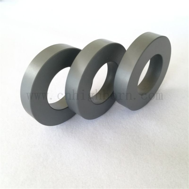 Anello in ceramica in carburo di silicio resistente all'usura Fibbia del cerchio Sic