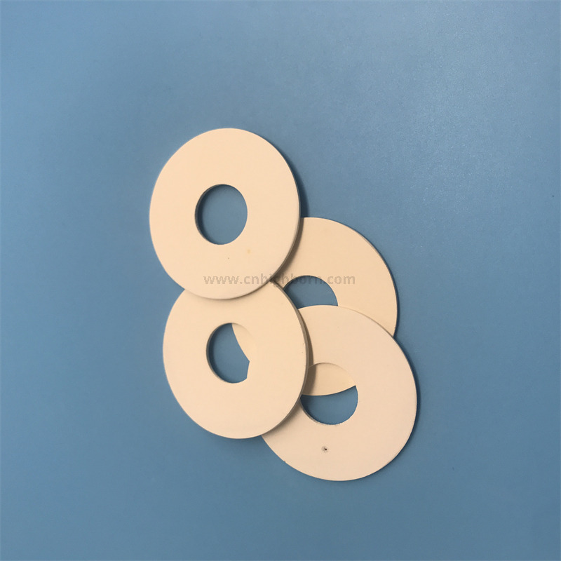 Anello in ceramica di diatomite con disco filtrante poroso di diatomite naturale