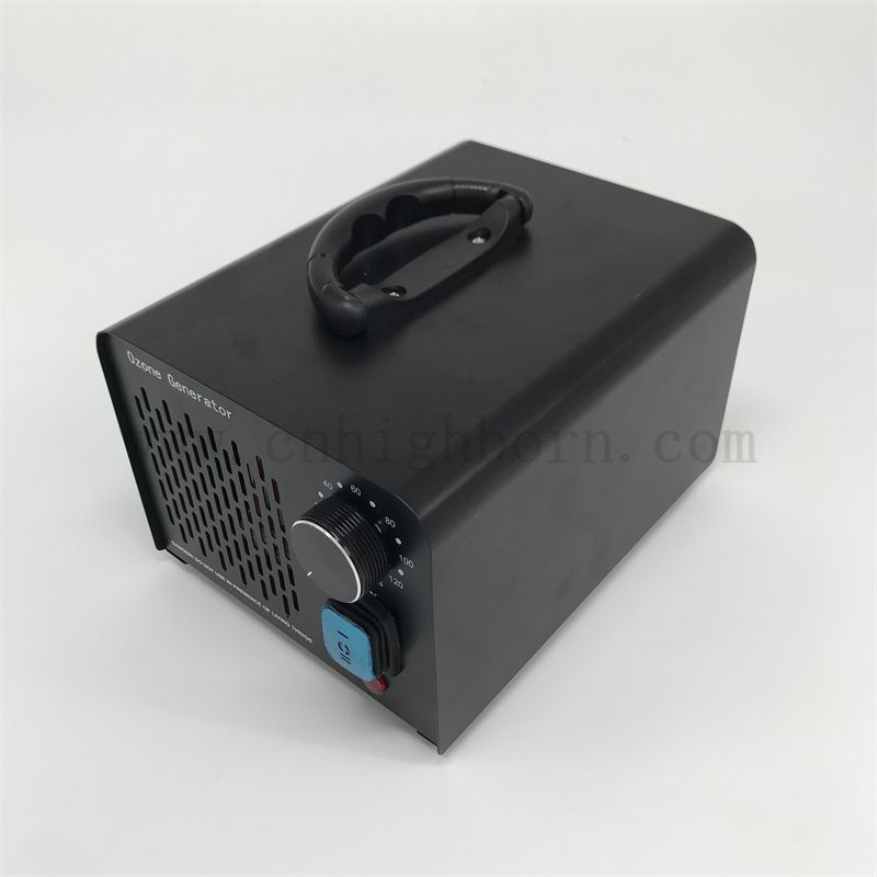 Multifunzionale Generatore di ozono Macchina Purificatore d'aria portatile 220V 10G/h Trattamento dell'acqua ozonizzatore Ozonatore