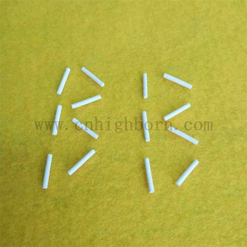 Stoppino dell'elettrodo di riferimento