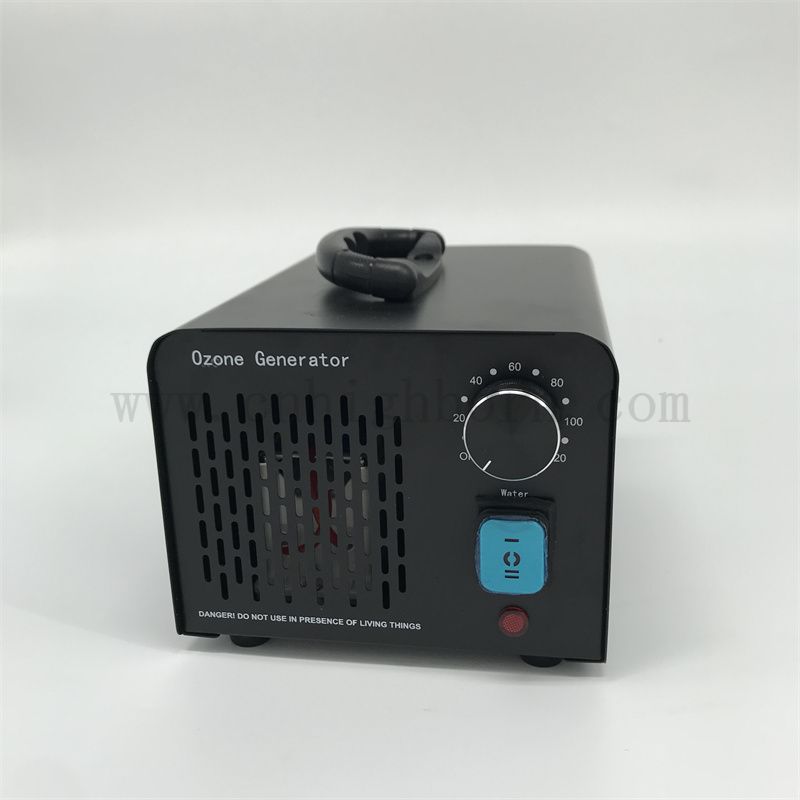 Multifunzionale Generatore di ozono Macchina Purificatore d'aria portatile 220V 10G/h Trattamento dell'acqua ozonizzatore Ozonatore