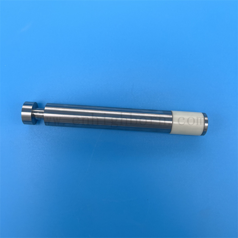 Pompa di allumina personalizzata AL2O3 PISTONI PISTONI Ceramica