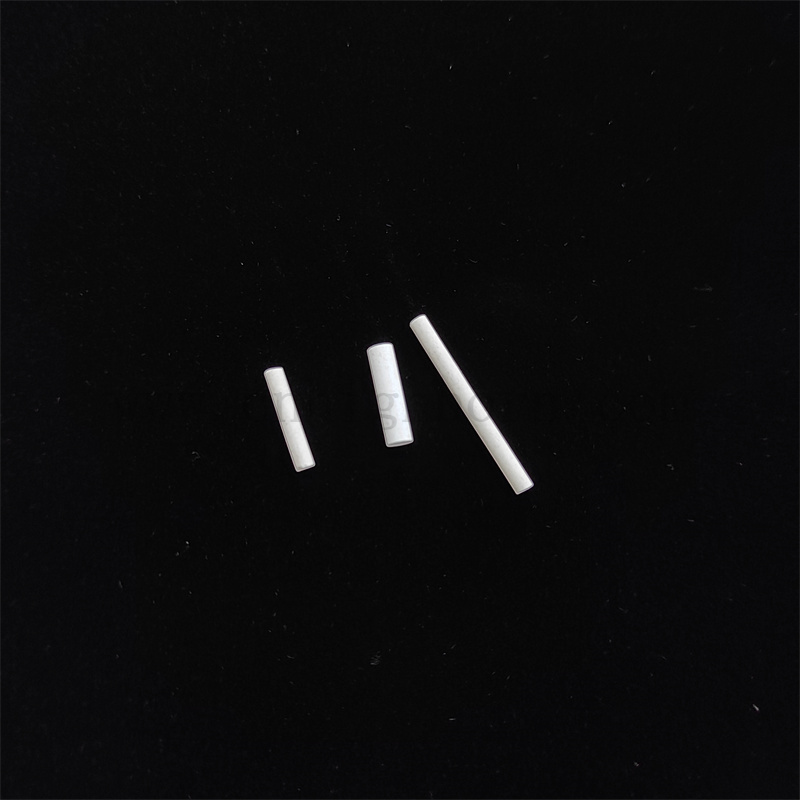  Porosità regolabile personalizzata Rilevamento della qualità dell'acqua Alumina porosa Asta di riferimento dell'asta di riferimento in ceramica