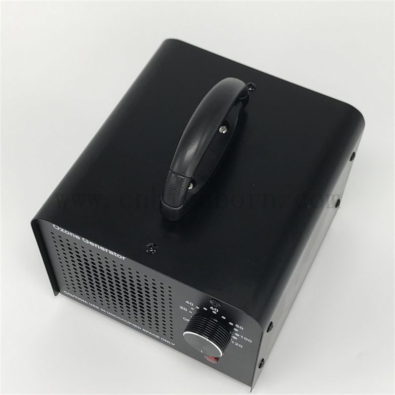 Macchina del generatore di disinfezione per ozono di ozono da ozono sostituibile da 110 V 10,000 mg/h Stirilizzatore di ozono raffreddato ad aria