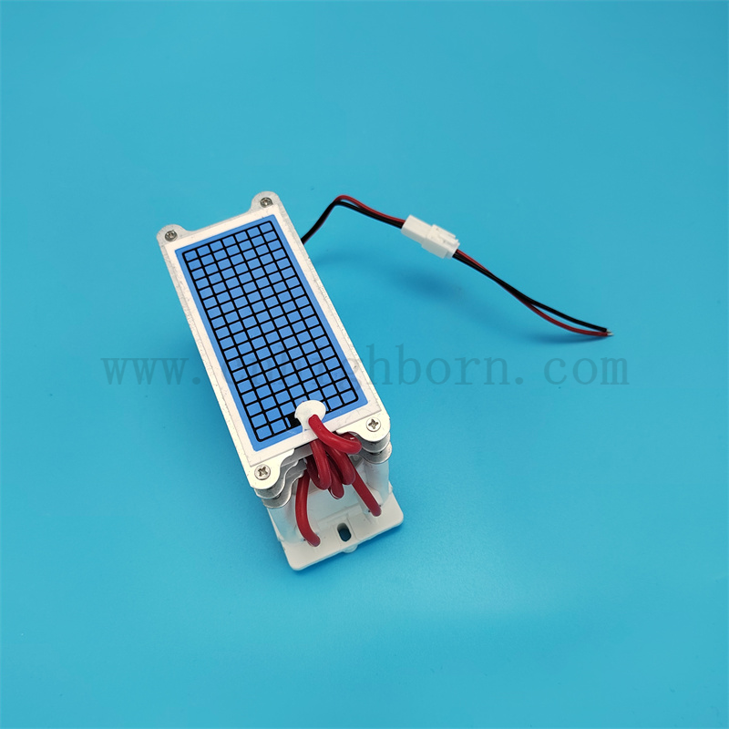 Basso consumo di energia 220 V 30 g/h Modulo del generatore di ozono in ceramica portatile 