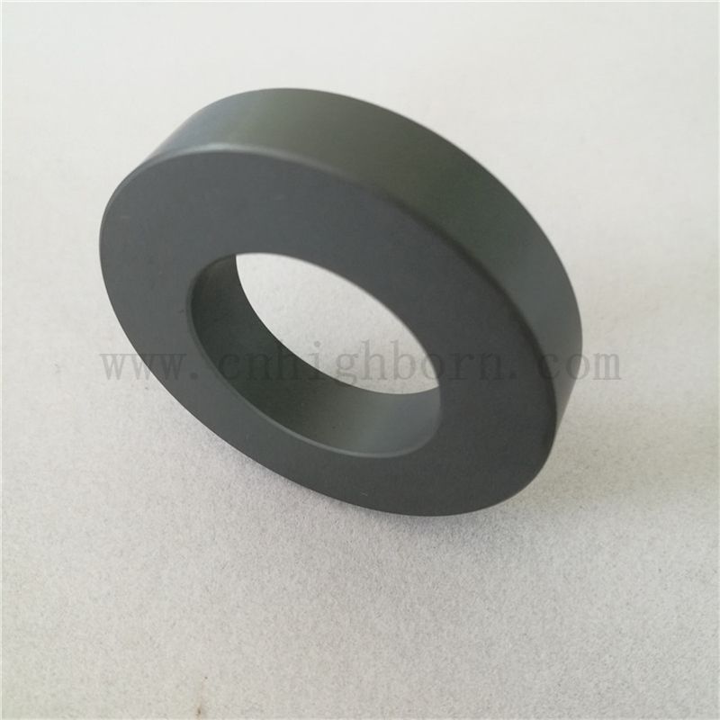 Anello in ceramica in carburo di silicio resistente all'usura Fibbia del cerchio Sic