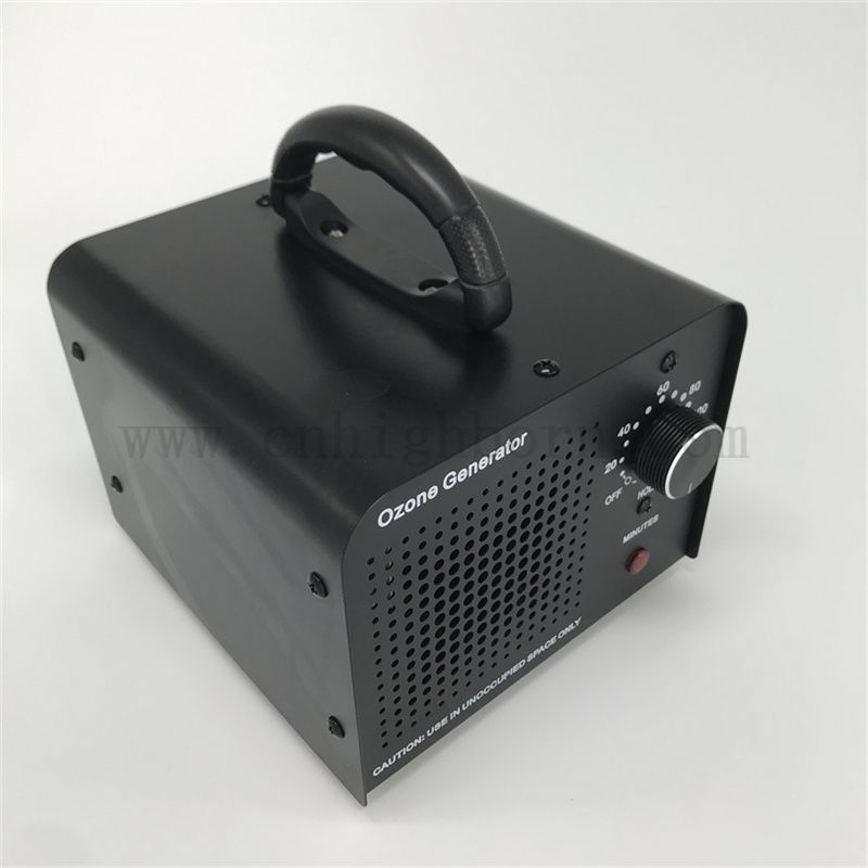 Macchina del generatore di disinfezione per ozono di ozono da ozono sostituibile da 110 V 10,000 mg/h Stirilizzatore di ozono raffreddato ad aria