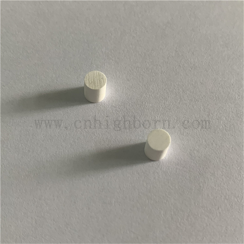 Monitoraggio ambientale di rilevamento degli alimenti Elettrodo Elettrodo Core di ceramica porosa