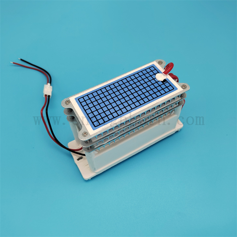 Basso consumo di energia 220 V 30 g/h Modulo del generatore di ozono in ceramica portatile 