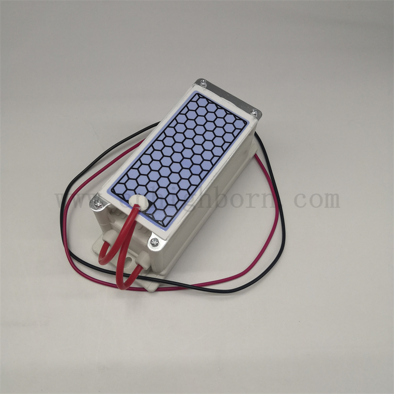 220 V 5g/h Purificazione dell'aria Piastra portatile Modulo del generatore di ozono