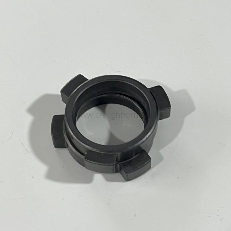 Anelli di tenuta SSIC in carburo di silicio SiC O-ring in ceramica