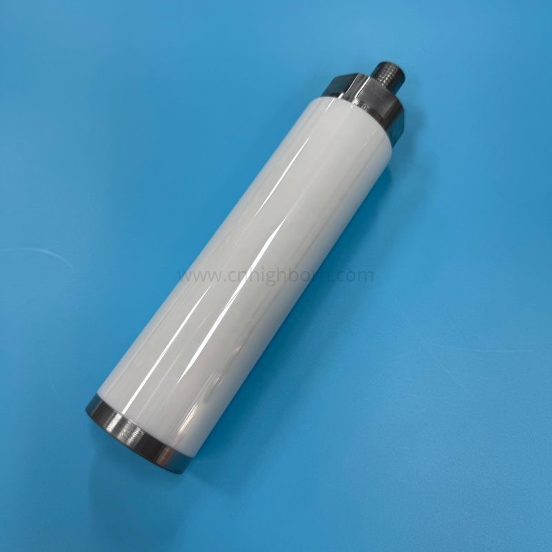 Stantuffo della pompa con stelo a pistone in ceramica di zirconio personalizzato