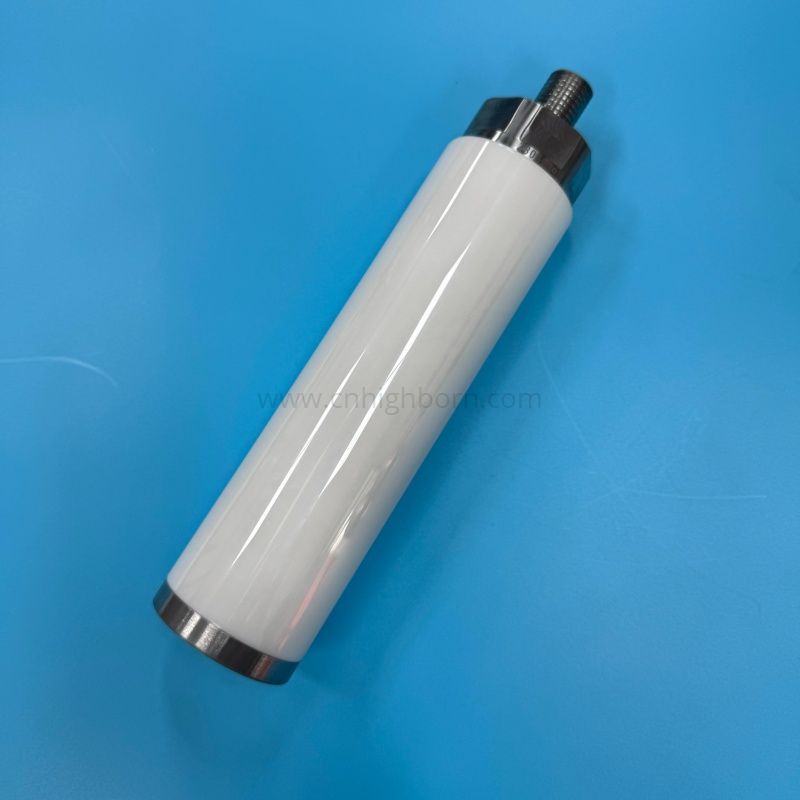 Stantuffo della pompa con stelo a pistone in ceramica di zirconio personalizzato