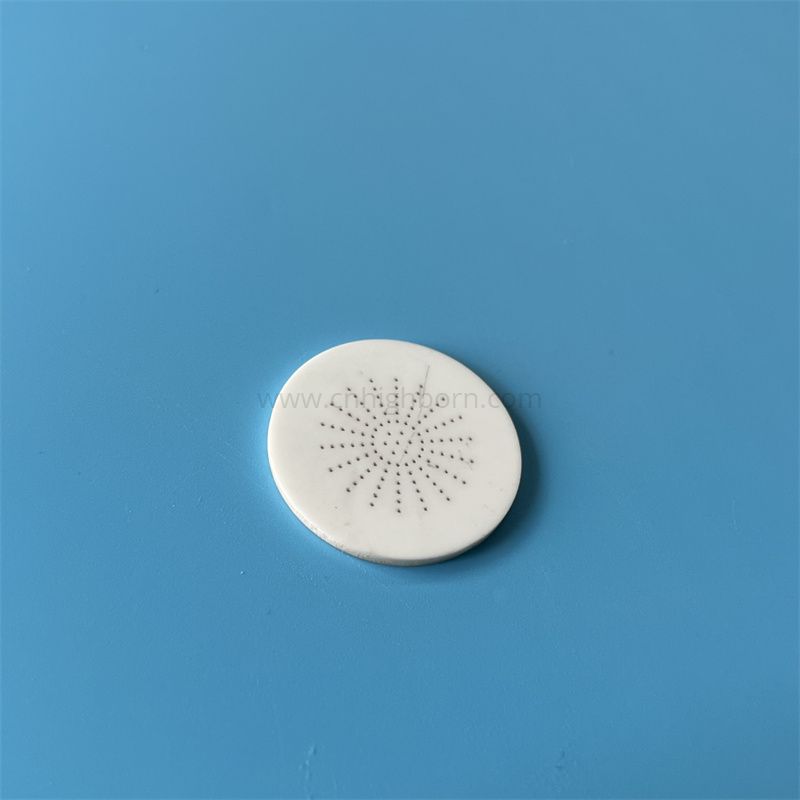Piastra in allumina con disco ceramico al 95% Al2O3 con fori